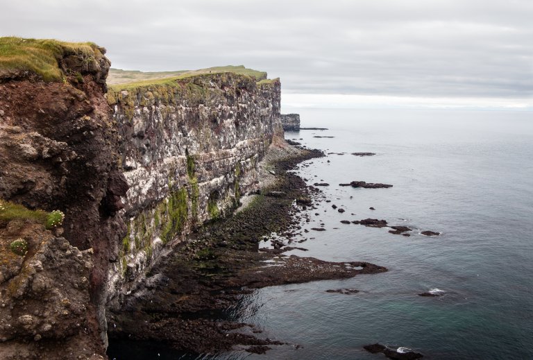 Látrabjörg eru í miklu uppáhaldi hjá Hannesi Páli Pálssyni, einum eigenda ferðaþjónustu- og viðburðafyrirtækisins Pink Iceland. 