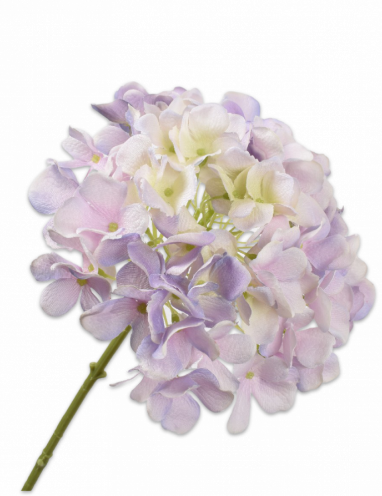 Hydrangea, Snúran, 2.990 kr.