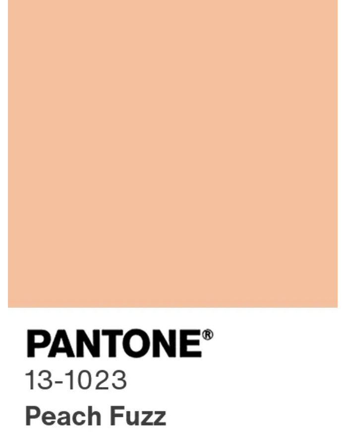 Litur ársins hjá Pantone er kallaður Peach Fuzz.