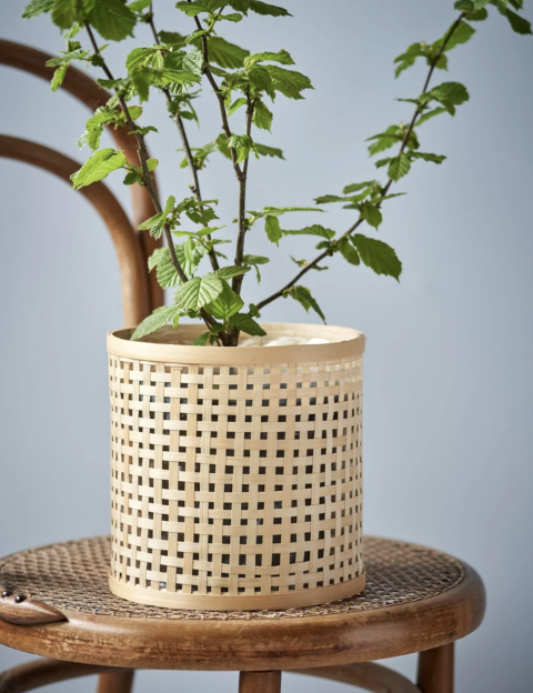 Bast blómapottur frá Søstrene Grene - 1.258 kr. 
